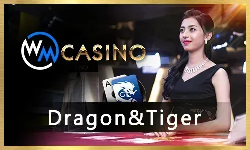 Live dealer poker game with a professional dealer and real cards, offering an immersive experience at www.747.live.